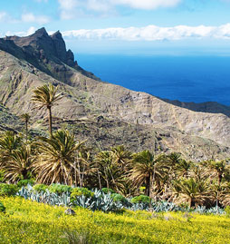 voyages de dernière minute Canaries